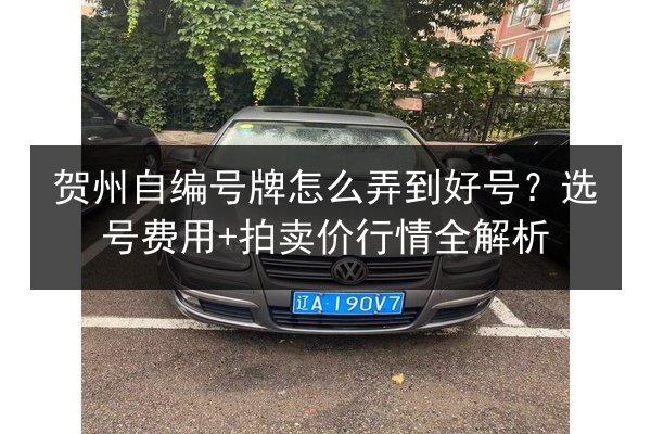 贺州自编号牌怎么弄到好号？选号费用+拍卖价行情全解析