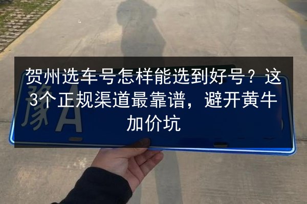 贺州选车号怎样能选到好号?这3个正规渠道最靠谱,避开黄牛加价坑 第3张 贺州选车号怎样能选到好号?这3个正规渠道最靠谱,避开黄牛加价坑 第3张
