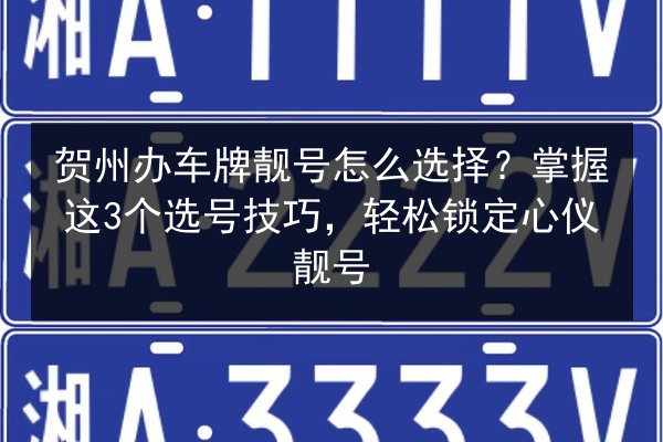 贺州办车牌靓号怎么选择?掌握这3个选号技巧,轻松锁定心仪靓号 第2张 贺州办车牌靓号怎么选择?掌握这3个选号技巧,轻松锁定心仪靓号 第2张
