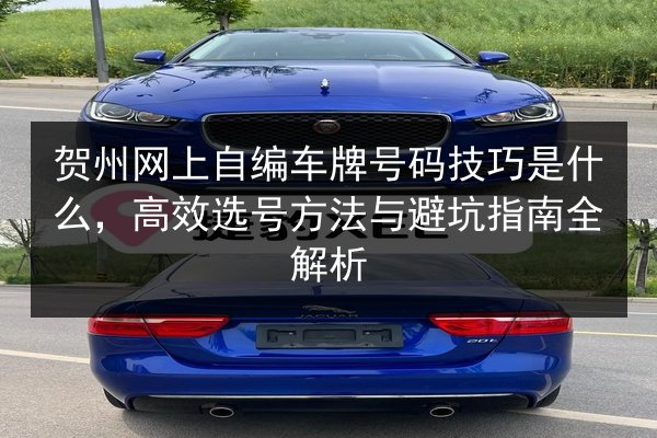 贺州网上自编车牌号码技巧是什么，高效选号方法与避坑指南全解析 第2张