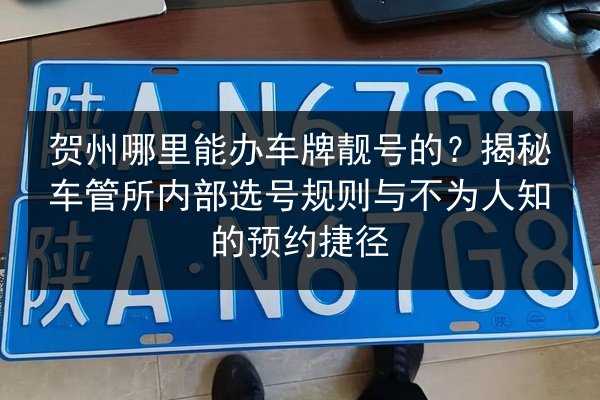 贺州哪里能办车牌靓号的？揭秘车管所内部选号规则与不为人知的预约捷径 第2张