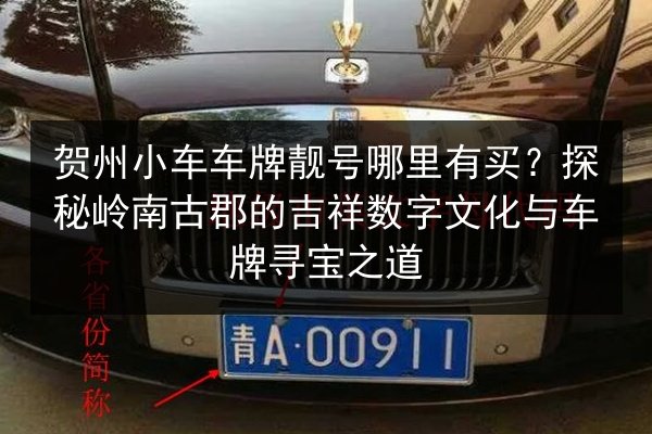 贺州小车车牌靓号哪里有买?探秘岭南古郡的吉祥数字文化与车牌寻宝之道 第1张 贺州小车车牌靓号哪里有买?探秘岭南古郡的吉祥数字文化与车牌寻宝之道 第1张