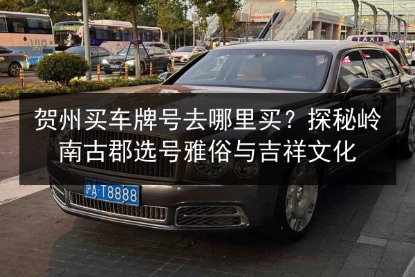 贺州买车牌号去哪里买？探秘岭南古郡选号雅俗与吉祥文化 第1张