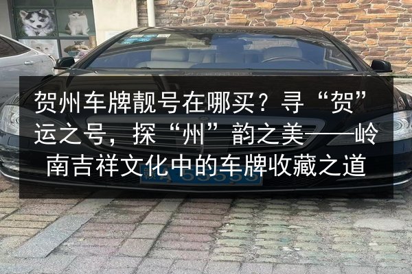 贺州车牌靓号在哪买?寻“贺”运之号,探“州”韵之美——岭南吉祥文化中的车牌收藏之道 第2张 贺州车牌靓号在哪买?寻“贺”运之号,探“州”韵之美——岭南吉祥文化中的车牌收藏之道 第2张