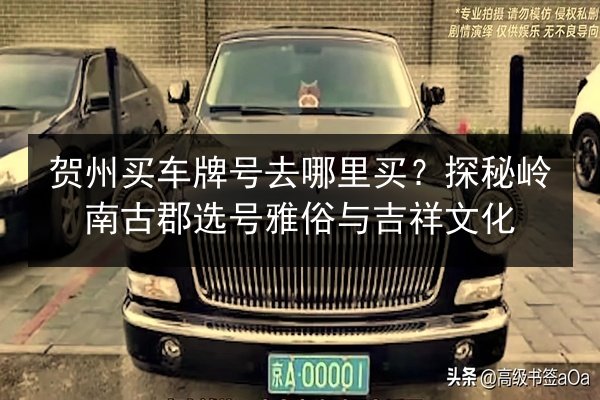 贺州买车牌号去哪里买？探秘岭南古郡选号雅俗与吉祥文化 第2张