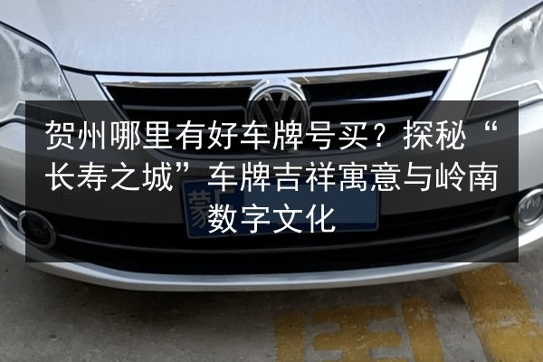 贺州哪里有好车牌号买?探秘“长寿之城”车牌吉祥寓意与岭南数字文化 第3张 贺州哪里有好车牌号买?探秘“长寿之城”车牌吉祥寓意与岭南数字文化 第3张