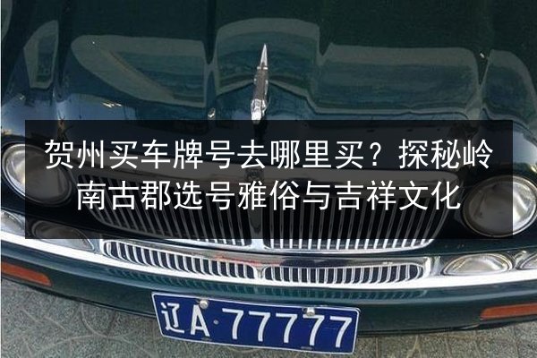 贺州买车牌号去哪里买？探秘岭南古郡选号雅俗与吉祥文化 第3张