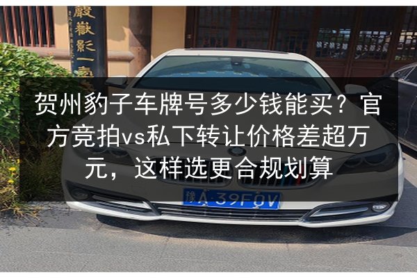 贺州豹子车牌号多少钱能买?官方竞拍vs私下转让价格差超万元,这样选更合规划算 第2张 贺州豹子车牌号多少钱能买?官方竞拍vs私下转让价格差超万元,这样选更合规划算 第2张