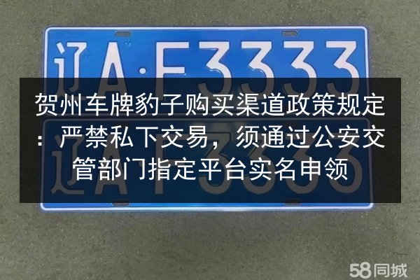 贺州车牌豹子购买渠道政策规定:严禁私下交易,须通过公安交管部门指定平台实名申领 第2张 贺州车牌豹子购买渠道政策规定:严禁私下交易,须通过公安交管部门指定平台实名申领 第2张