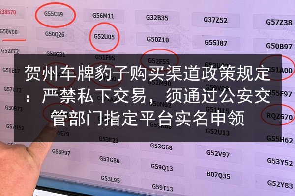 贺州车牌豹子购买渠道政策规定:严禁私下交易,须通过公安交管部门指定平台实名申领 第3张 贺州车牌豹子购买渠道政策规定:严禁私下交易,须通过公安交管部门指定平台实名申领 第3张