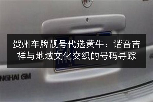 贺州车牌靓号代选黄牛：谐音吉祥与地域文化交织的号码寻踪 第2张