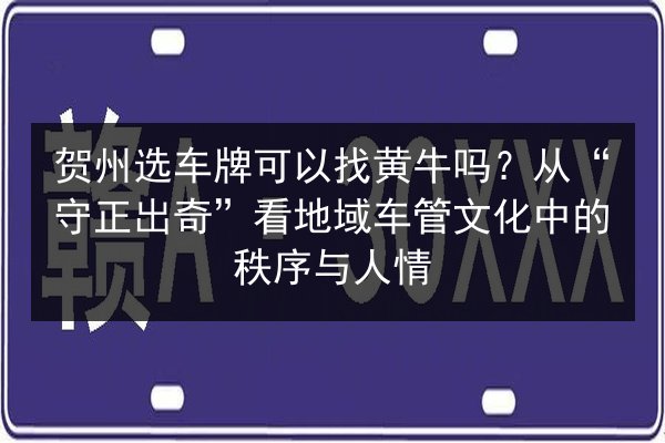 贺州选车牌可以找黄牛吗？从“守正出奇”看地域车管文化中的秩序与人情 第2张