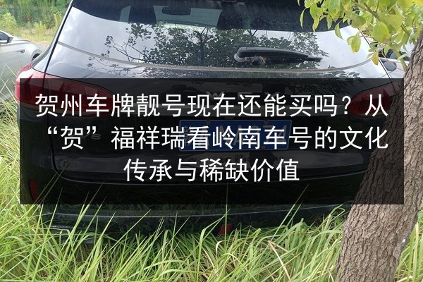 贺州车牌靓号现在还能买吗?从“贺”福祥瑞看岭南车号的文化传承与稀缺价值 第3张 贺州车牌靓号现在还能买吗?从“贺”福祥瑞看岭南车号的文化传承与稀缺价值 第3张