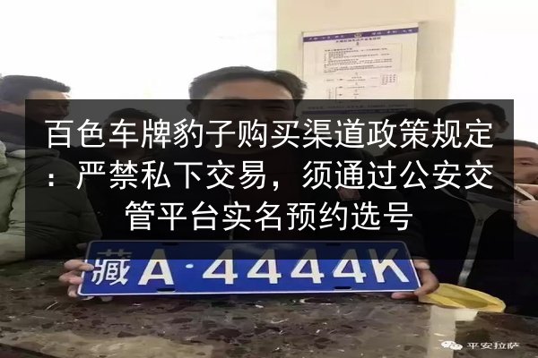 百色车牌豹子购买渠道政策规定:严禁私下交易,须通过公安交管平台实名预约选号 第2张 百色车牌豹子购买渠道政策规定:严禁私下交易,须通过公安交管平台实名预约选号 第2张