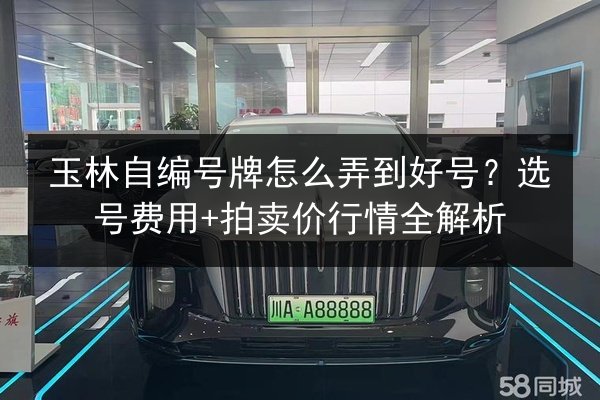 玉林自编号牌怎么弄到好号？选号费用+拍卖价行情全解析 第2张