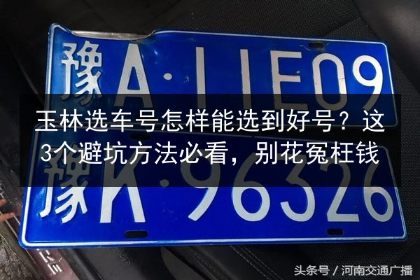 玉林选车号怎样能选到好号？这3个避坑方法必看，别花冤枉钱 第2张