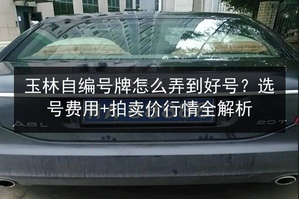玉林自编号牌怎么弄到好号？选号费用+拍卖价行情全解析 第3张