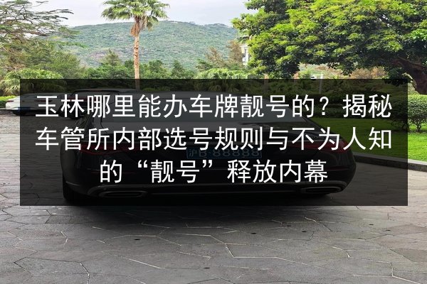 玉林哪里能办车牌靓号的？揭秘车管所内部选号规则与不为人知的“靓号”释放内幕 第2张
