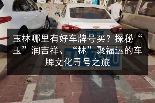 玉林哪里有好车牌号买?探秘“玉”润吉祥、“林”聚福运的车牌文化寻号之旅 第2张 玉林哪里有好车牌号买?探秘“玉”润吉祥、“林”聚福运的车牌文化寻号之旅 第2张