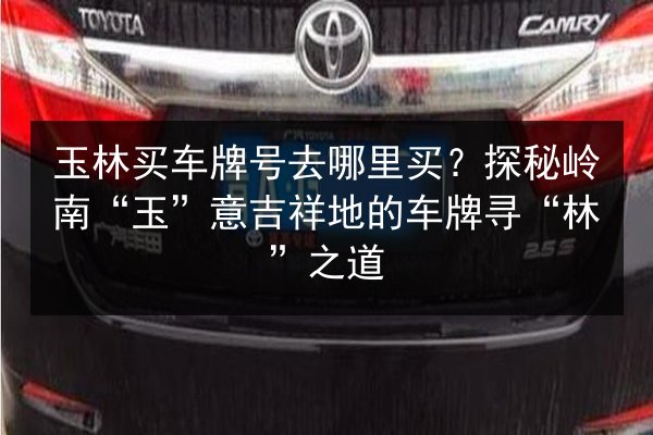 玉林买车牌号去哪里买？探秘岭南“玉”意吉祥地的车牌寻“林”之道 第2张