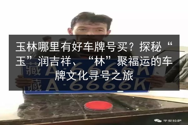玉林哪里有好车牌号买?探秘“玉”润吉祥、“林”聚福运的车牌文化寻号之旅 第3张 玉林哪里有好车牌号买?探秘“玉”润吉祥、“林”聚福运的车牌文化寻号之旅 第3张