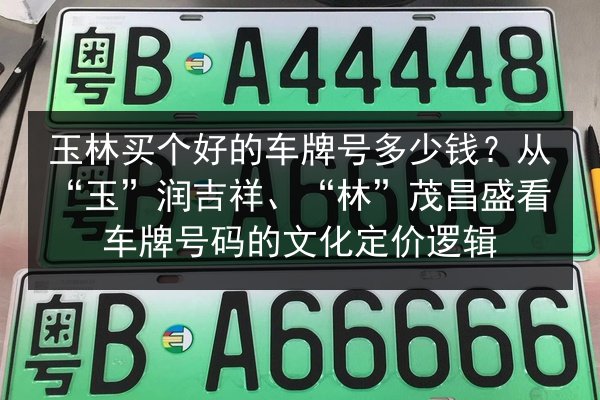 玉林买个好的车牌号多少钱?从“玉”润吉祥、“林”茂昌盛看车牌号码的文化定价逻辑 第3张 玉林买个好的车牌号多少钱?从“玉”润吉祥、“林”茂昌盛看车牌号码的文化定价逻辑 第3张