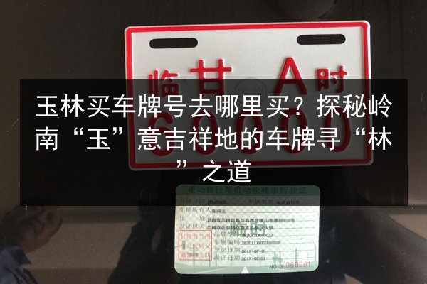 玉林买车牌号去哪里买？探秘岭南“玉”意吉祥地的车牌寻“林”之道 第3张