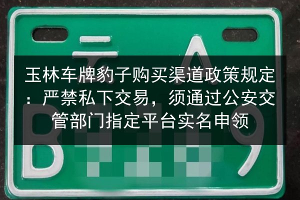 玉林车牌豹子购买渠道政策规定:严禁私下交易,须通过公安交管部门指定平台实名申领 第2张 玉林车牌豹子购买渠道政策规定:严禁私下交易,须通过公安交管部门指定平台实名申领 第2张