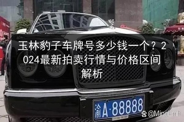 玉林豹子车牌号多少钱一个？2024最新拍卖行情与价格区间解析 第3张