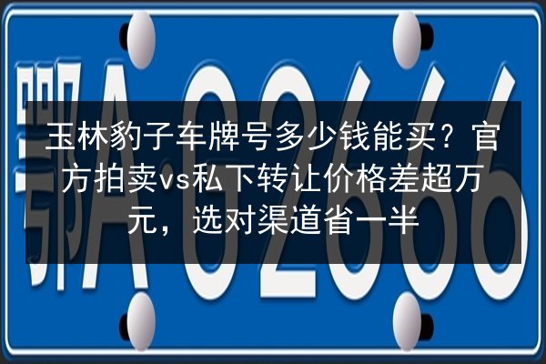 玉林豹子车牌号多少钱能买？官方拍卖vs私下转让价格差超万元，选对渠道省一半 第3张