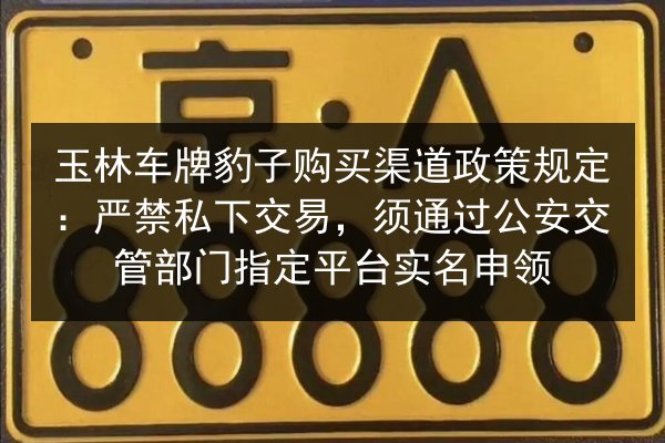玉林车牌豹子购买渠道政策规定:严禁私下交易,须通过公安交管部门指定平台实名申领 第3张 玉林车牌豹子购买渠道政策规定:严禁私下交易,须通过公安交管部门指定平台实名申领 第3张