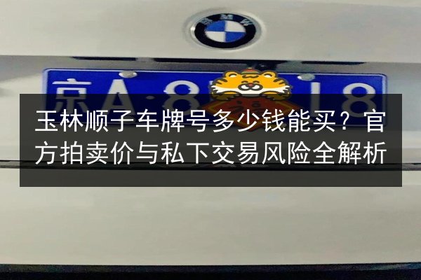 玉林顺子车牌号多少钱能买?官方拍卖价与私下交易风险全解析 第2张 玉林顺子车牌号多少钱能买?官方拍卖价与私下交易风险全解析 第2张