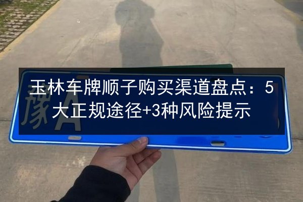 玉林车牌顺子购买渠道盘点：5大正规途径+3种风险提示 第3张
