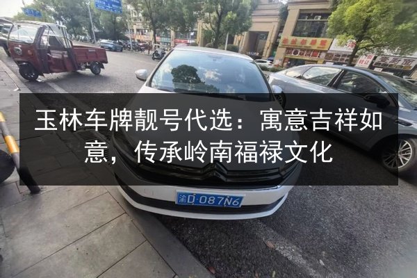 玉林车牌靓号代选:寓意吉祥如意,传承岭南福禄文化 第2张 玉林车牌靓号代选:寓意吉祥如意,传承岭南福禄文化 第2张