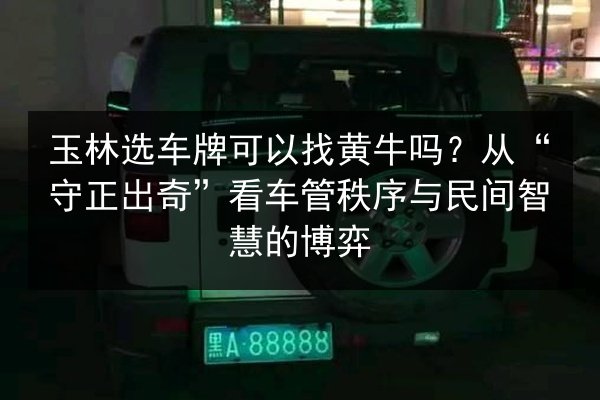 玉林选车牌可以找黄牛吗？从“守正出奇”看车管秩序与民间智慧的博弈 第2张