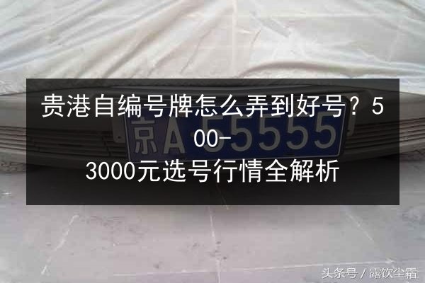 贵港自编号牌怎么弄到好号？500-3000元选号行情全解析 第2张