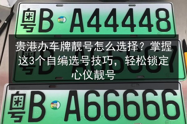 贵港办车牌靓号怎么选择？掌握这3个自编选号技巧，轻松锁定心仪靓号 第1张