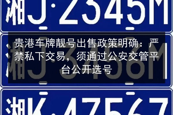 贵港车牌靓号出售政策明确：严禁私下交易，须通过公安交管平台公开选号 第2张