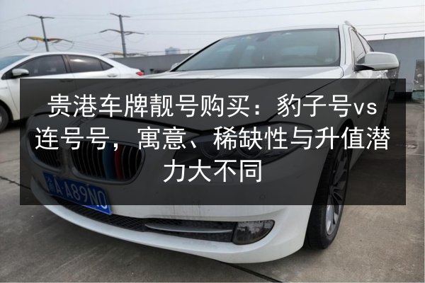 贵港车牌靓号购买:豹子号vs连号号,寓意、稀缺性与升值潜力大不同 第2张 贵港车牌靓号购买:豹子号vs连号号,寓意、稀缺性与升值潜力大不同 第2张