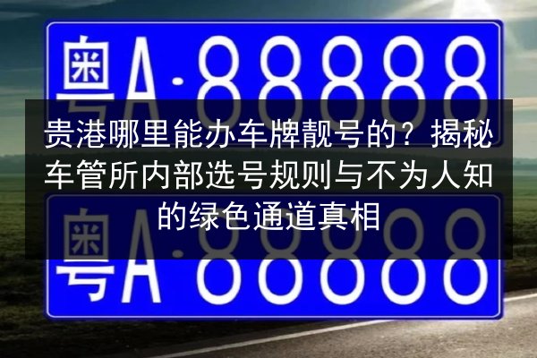 贵港哪里能办车牌靓号的?揭秘车管所内部选号规则与不为人知的绿色通道真相 第2张 贵港哪里能办车牌靓号的?揭秘车管所内部选号规则与不为人知的绿色通道真相 第2张