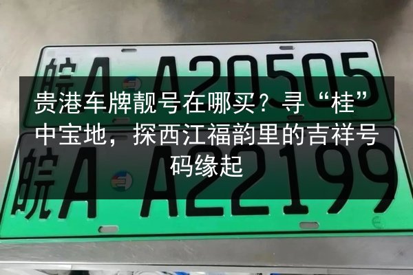 贵港车牌靓号在哪买？寻“桂”中宝地，探西江福韵里的吉祥号码缘起 第2张
