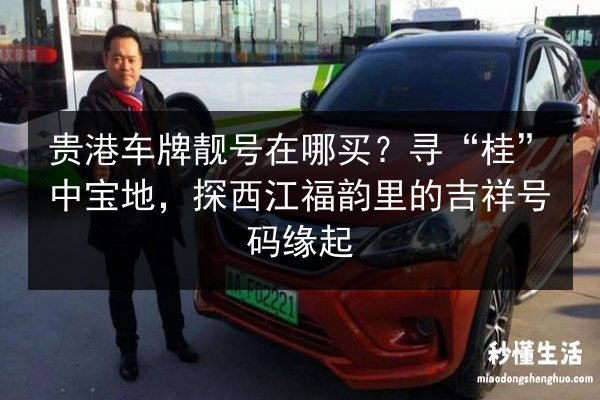 贵港车牌靓号在哪买？寻“桂”中宝地，探西江福韵里的吉祥号码缘起 第3张