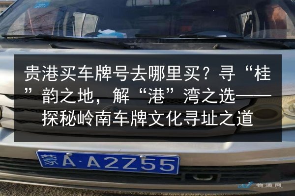 贵港买车牌号去哪里买?寻“桂”韵之地,解“港”湾之选——探秘岭南车牌文化寻址之道 第3张 贵港买车牌号去哪里买?寻“桂”韵之地,解“港”湾之选——探秘岭南车牌文化寻址之道 第3张