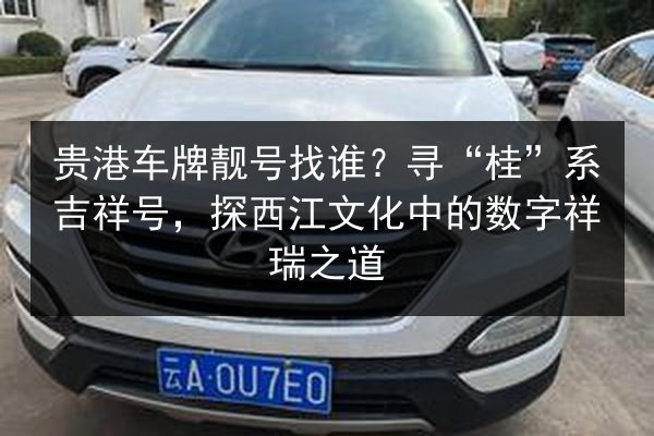 贵港车牌靓号找谁?寻“桂”系吉祥号,探西江文化中的数字祥瑞之道 第3张 贵港车牌靓号找谁?寻“桂”系吉祥号,探西江文化中的数字祥瑞之道 第3张