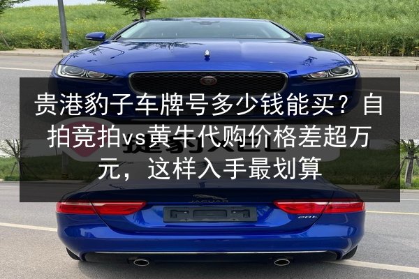 贵港豹子车牌号多少钱能买？自拍竞拍vs黄牛代购价格差超万元，这样入手最划算 第1张