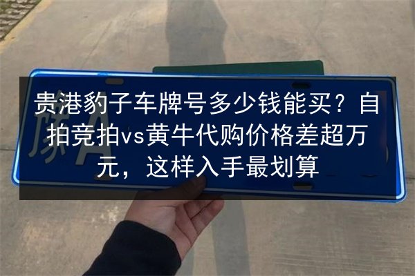 贵港豹子车牌号多少钱能买？自拍竞拍vs黄牛代购价格差超万元，这样入手最划算 第2张