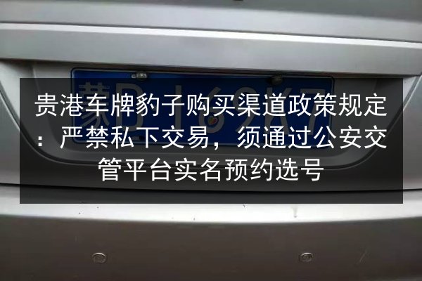 贵港车牌豹子购买渠道政策规定:严禁私下交易,须通过公安交管平台实名预约选号 第2张 贵港车牌豹子购买渠道政策规定:严禁私下交易,须通过公安交管平台实名预约选号 第2张