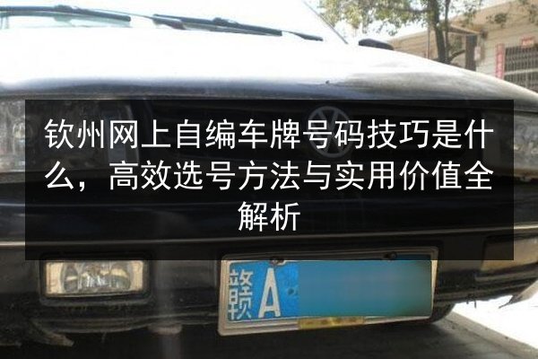 钦州网上自编车牌号码技巧是什么，高效选号方法与实用价值全解析 第2张