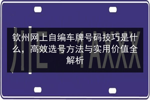 钦州网上自编车牌号码技巧是什么，高效选号方法与实用价值全解析 第3张
