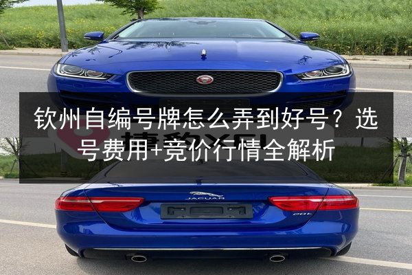 钦州自编号牌怎么弄到好号？选号费用+竞价行情全解析 第2张